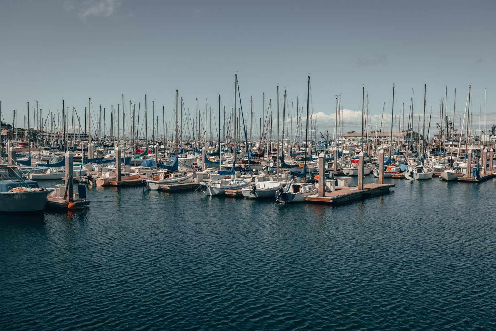 Boats docked at a marina near Elk Grove, CA ready for detailing